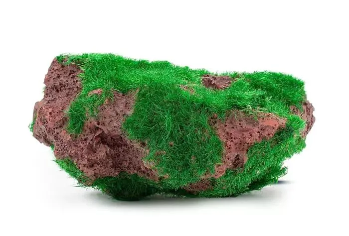 Happet Dekostein 9 cm Aquariumstein grün Moos