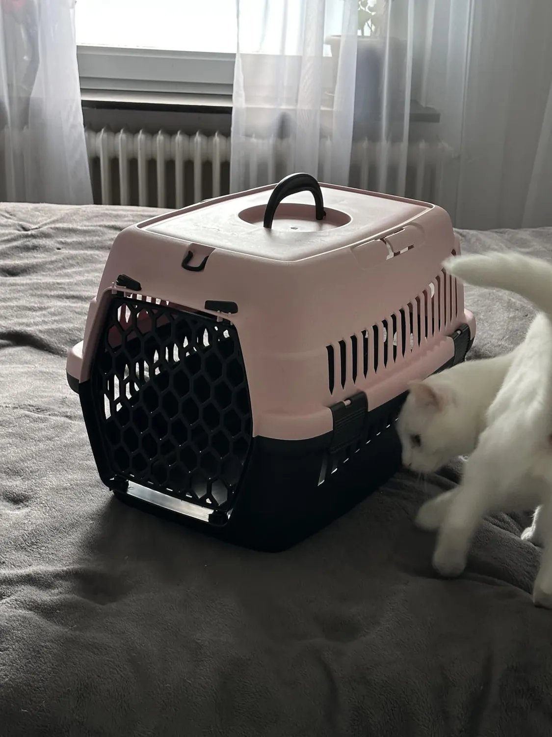 Happet ABBA S Transportbox Pink 50x33x33 cm Katze