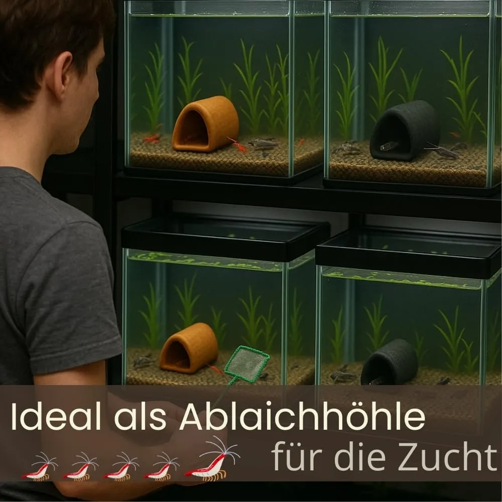 Happet Welsröhre Aquarium Höhle schwarz Ton geschlossen