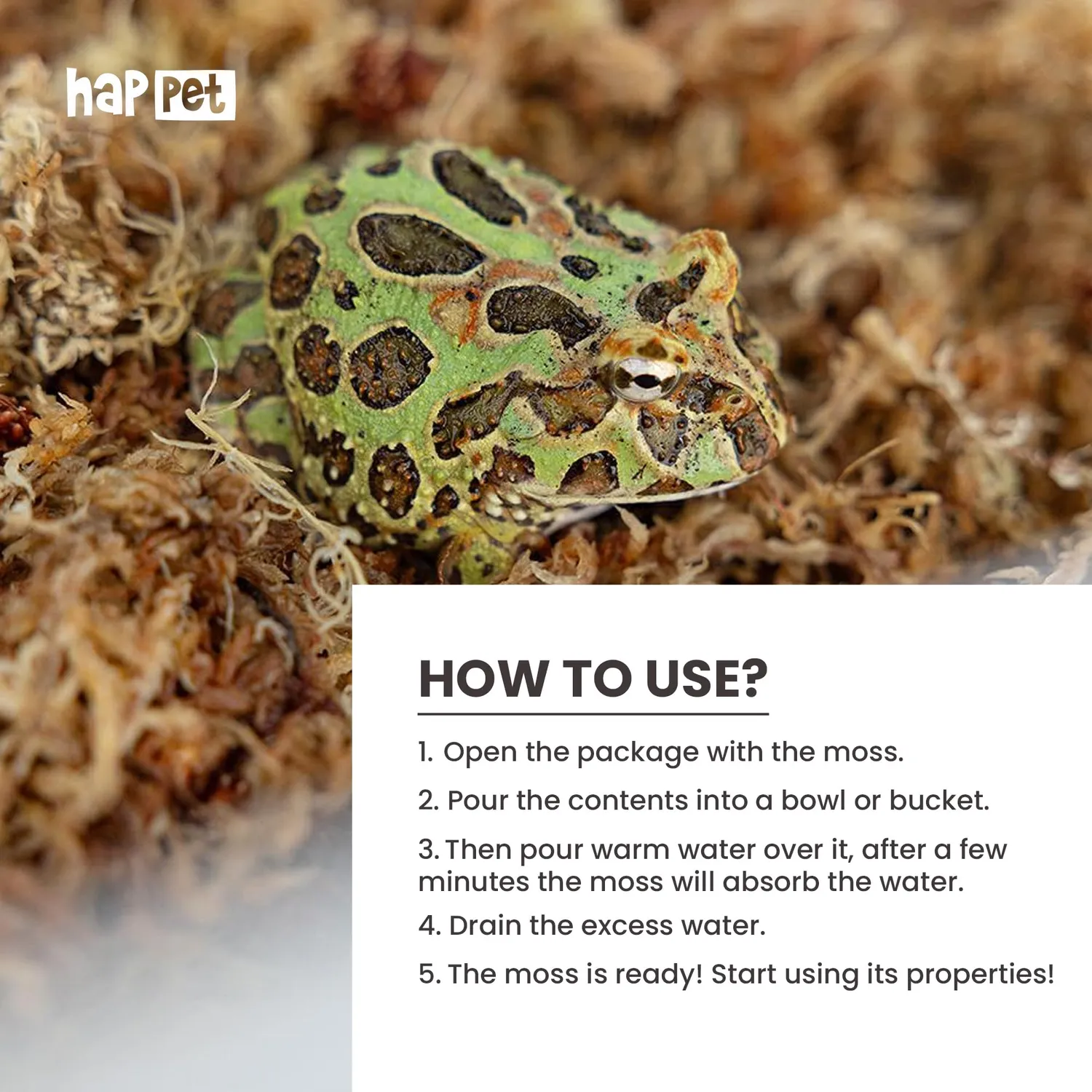 Happet Sphagnum Moos Terrarium Substrat 1 kg feucht