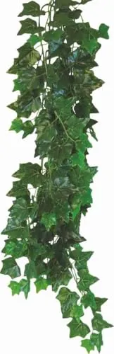 Happet Tradescantia zebrina Hängepflanze 50 cm Terrarium