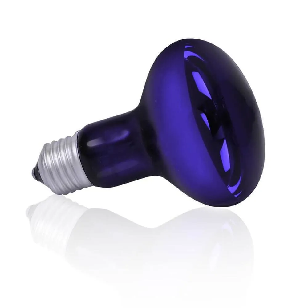 Happet Mondlicht Wärmelampe 60 Watt Terrariumlampe Blaulicht