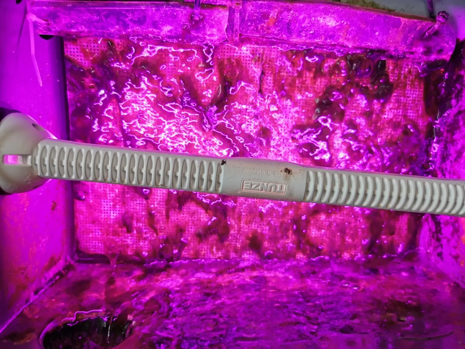 Tunze LED eco chic refugium Pflanzenlicht Unterwasser
