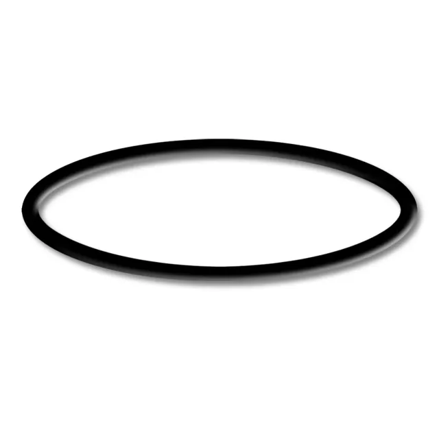SunSun CPF-2500 O-Ring 5 Druckfilter Ersatzteil original