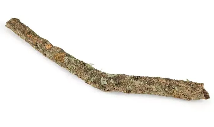 Happet Korkplatten Terrarium Deko Rückwand 70 cm Naturkork