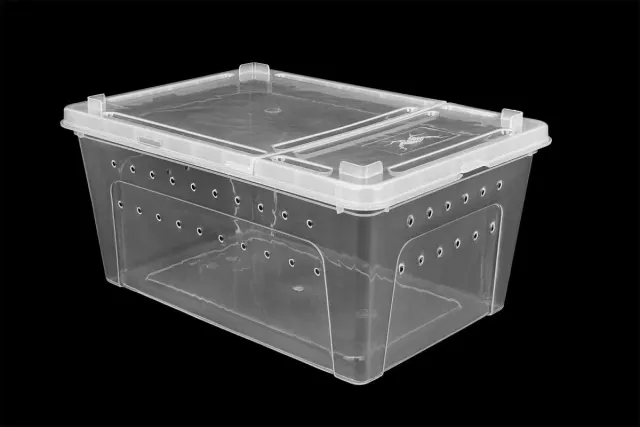 Happet Breeding Box Terrarium 19x12,5x7,5 cm transparent