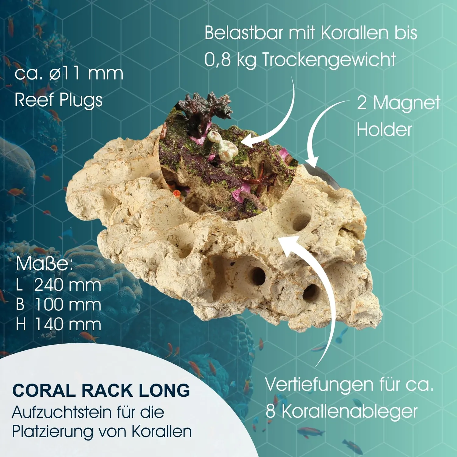 Tunze Coral Rack Long Korallenrack 0104.820 8 Ableger