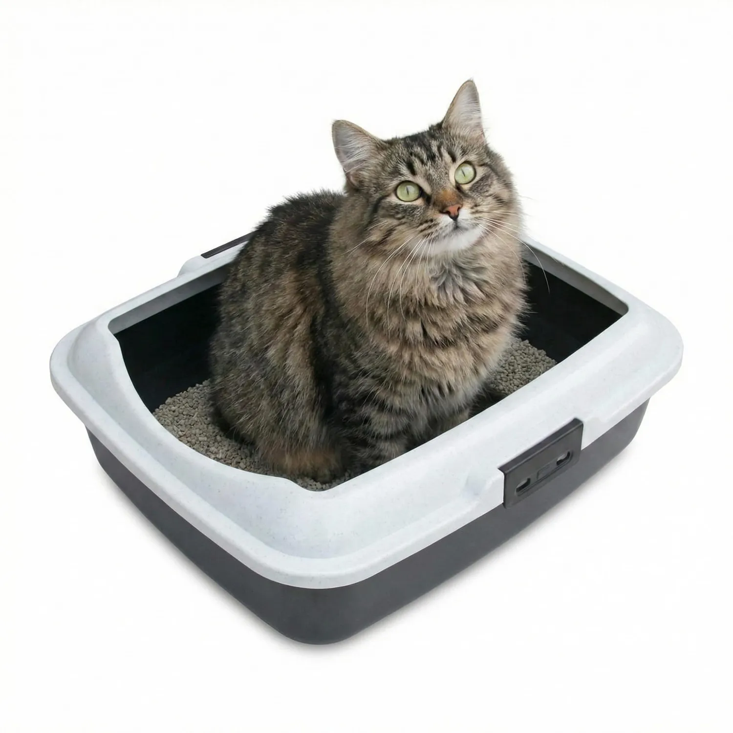 Happet Kitty Katzenklo offen rot 50x40x16 cm Streuschutz