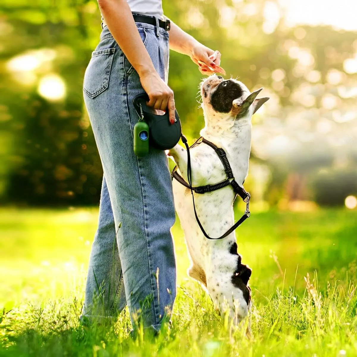 HAPPET Kaninchenohren mit Hähnchen Hundesnack 500 g proteinreich