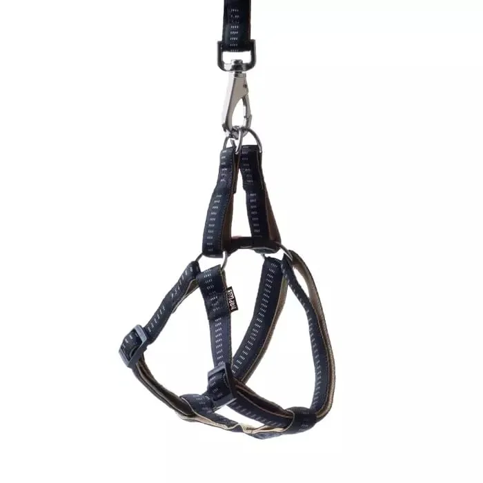 Happet Soft Style Hundegeschirr L 34-59 cm Türkis