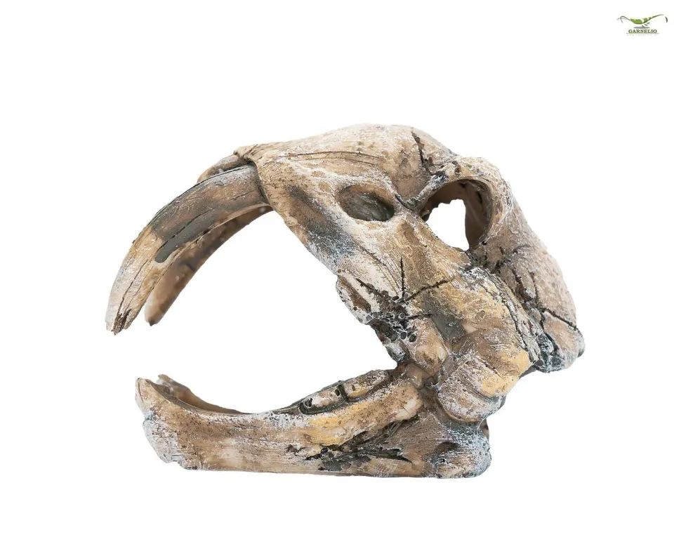 Happet Dino-Skull Aquarium-Deko 5x4x7 cm Polyresin