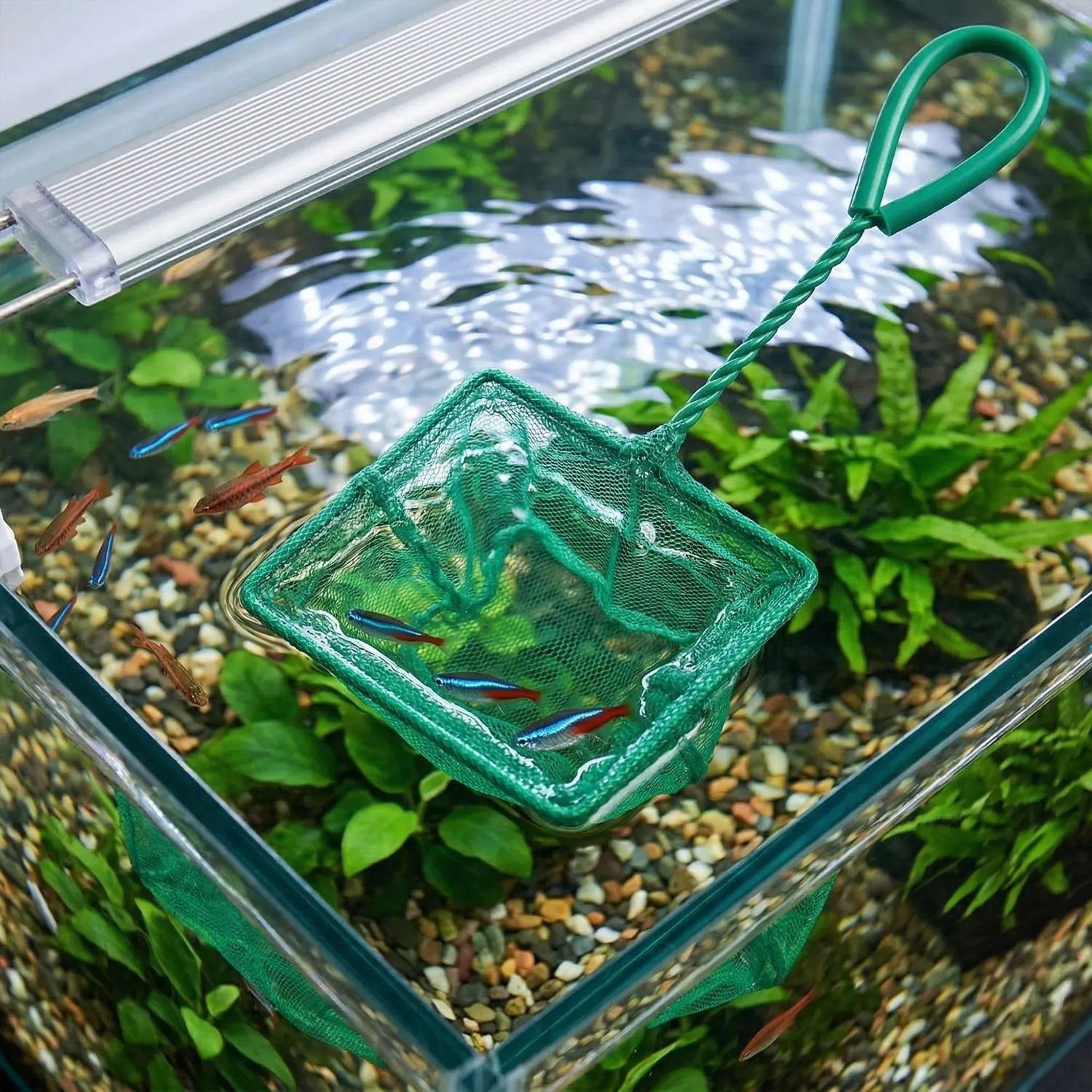 Happet Fischkescher Grün 13 cm Aquariumkescher fein