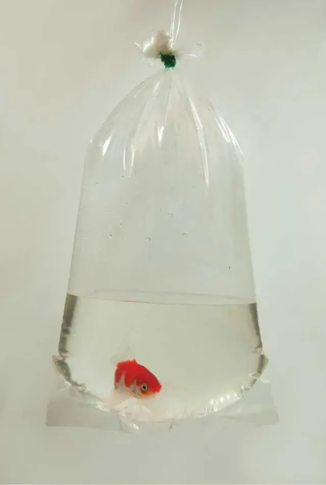 Happet Fischtransportbeutel 14x40 cm transparent 100 Stück