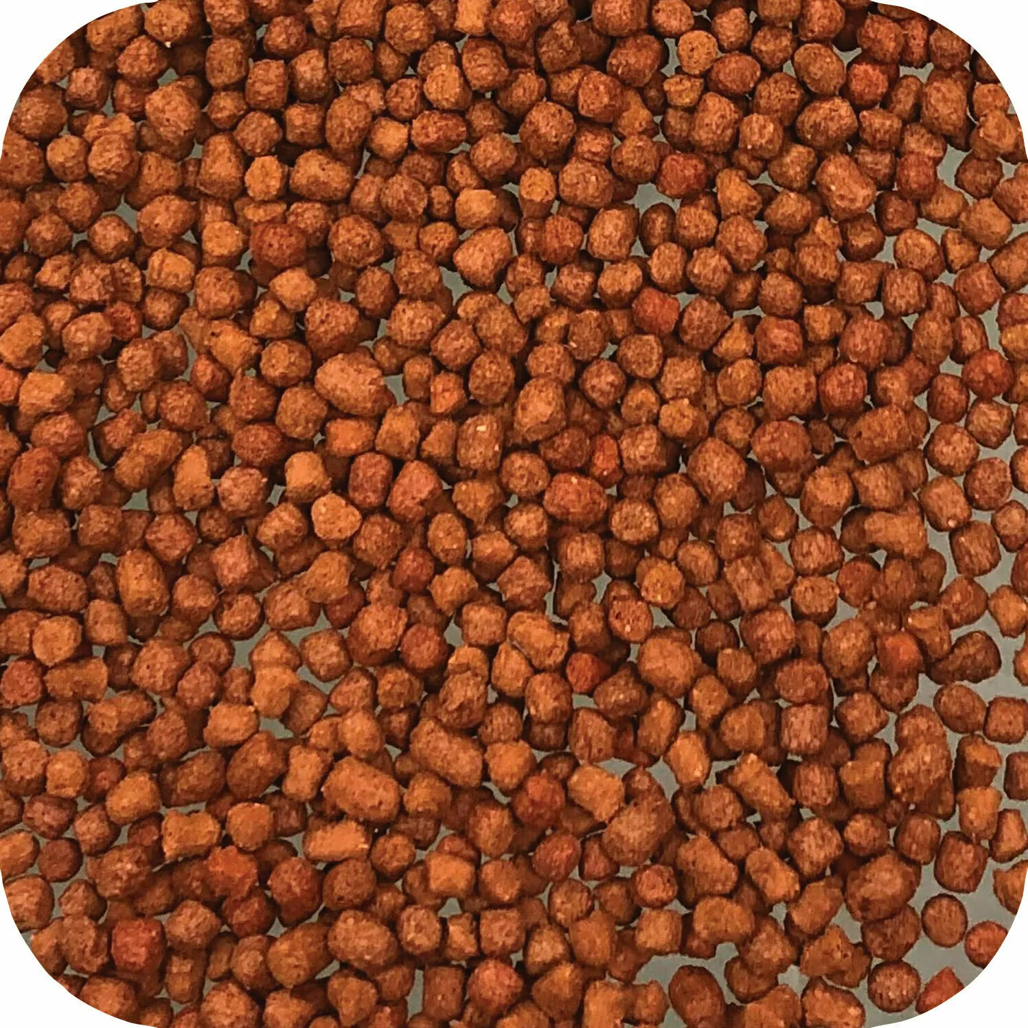 Microbe-Lift Legacy Growth & Energy Food Fischfutter Wachstum