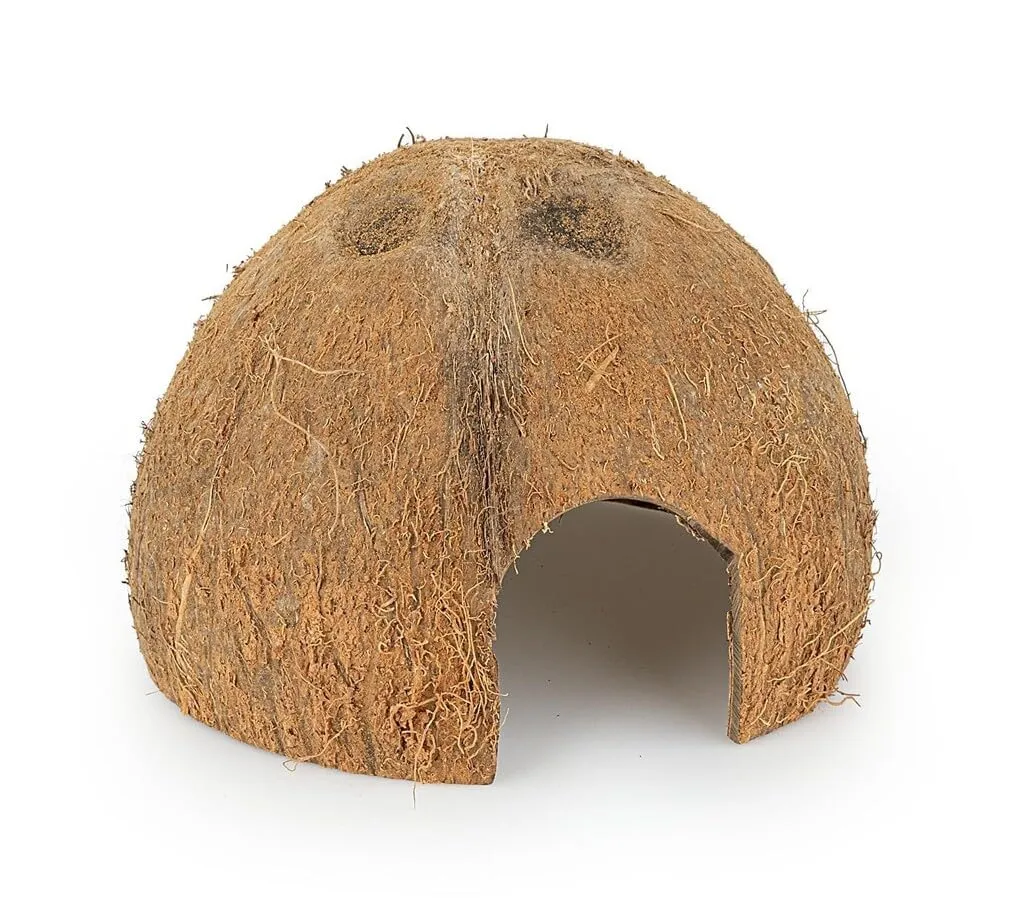 Happet Kokosnuss 1/2 Versteck ungebürstet 6 Stück 11 cm natürlich