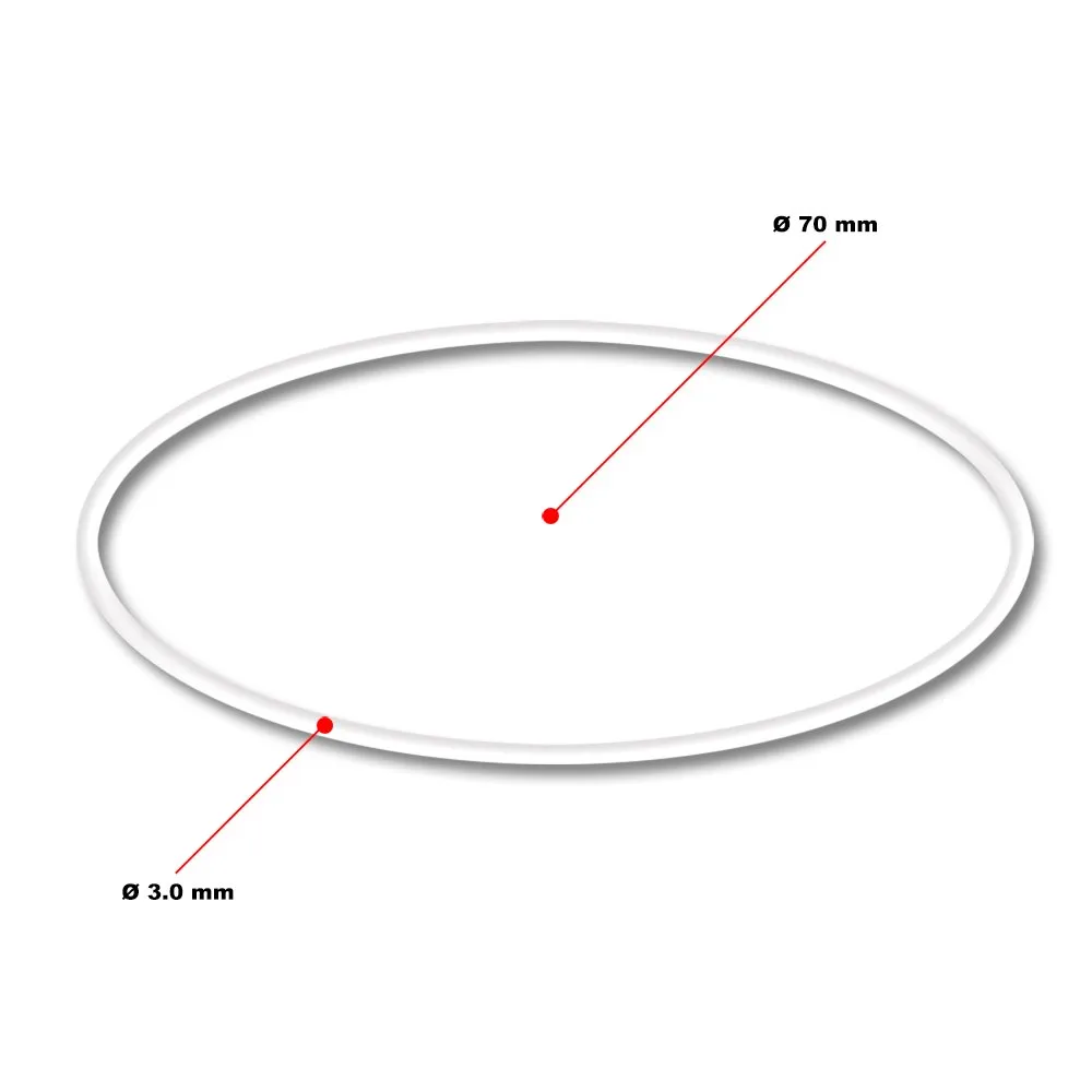 SunSun CPF Ersatzteil O-Ring Fixierung Druckteichfilter