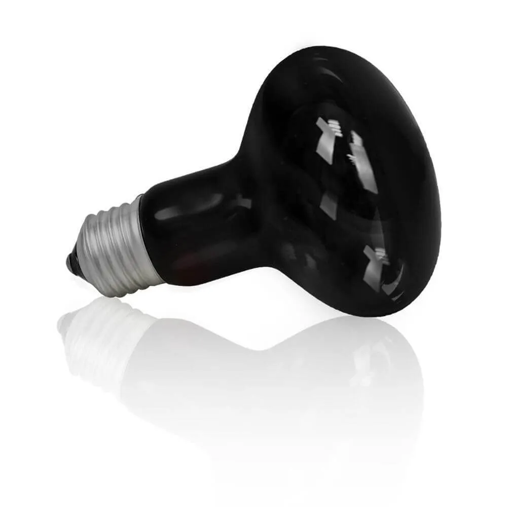 Happet Terrarium Wärmelampe 60 W Schwarzlicht E27