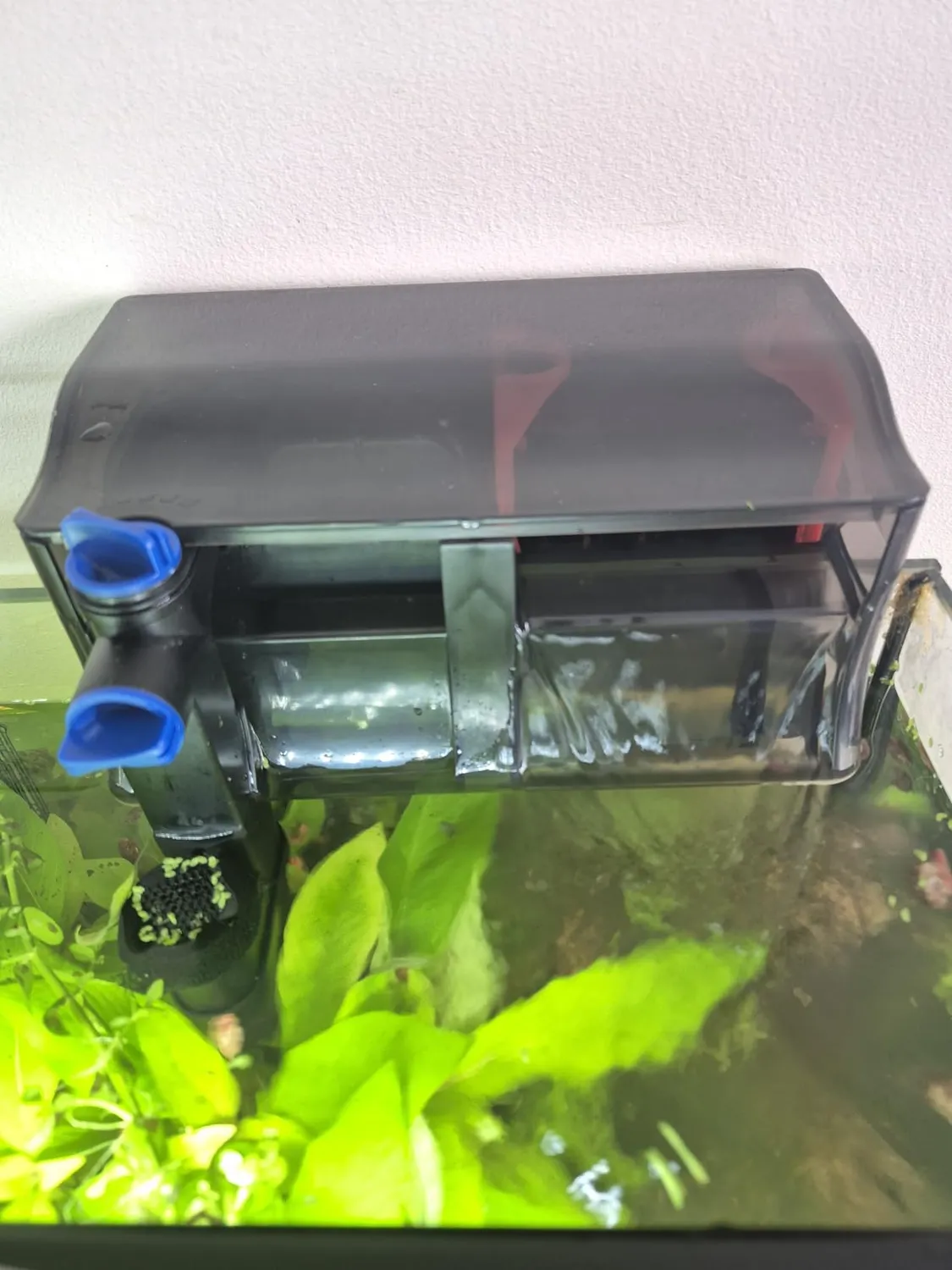 SunSun CBG-500 Hang On Filter Aquarium 500 l/h 115 L