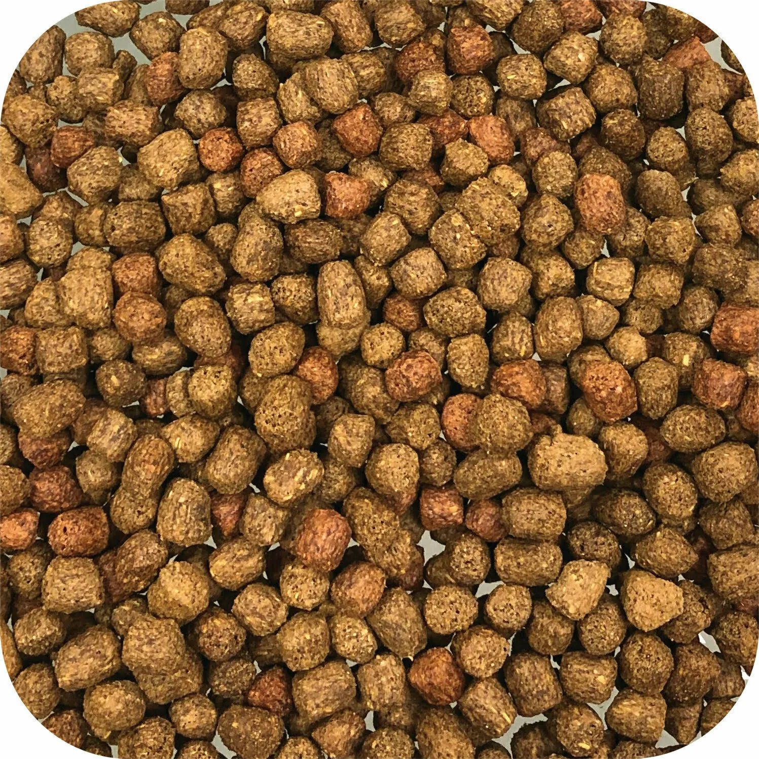 Microbe-Lift Legacy Big Bites Teichfischfutter Pellets