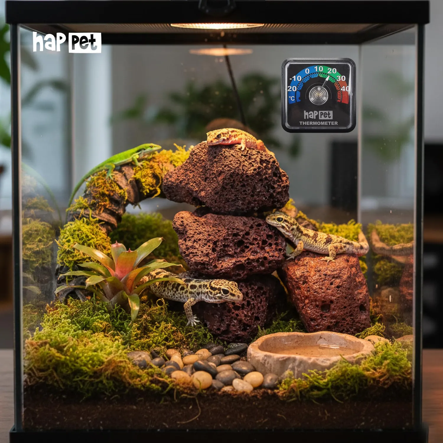Happet Analog Thermometer -20 bis 50°C Terrarium 5x5x2 cm