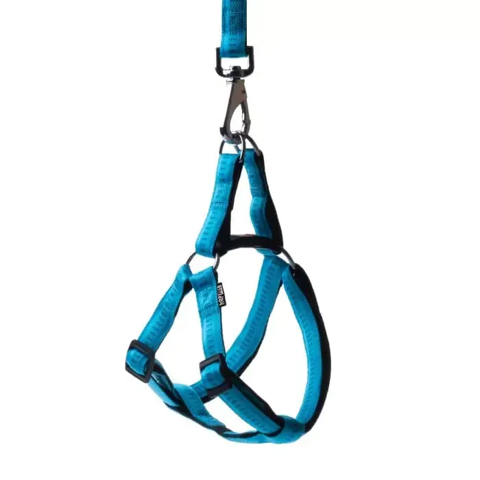 Happet Soft Style Hundegeschirr L 34-59 cm Türkis