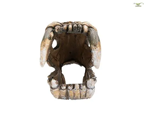 Happet Dino-Skull Aquarium-Deko 5x4x7 cm Polyresin