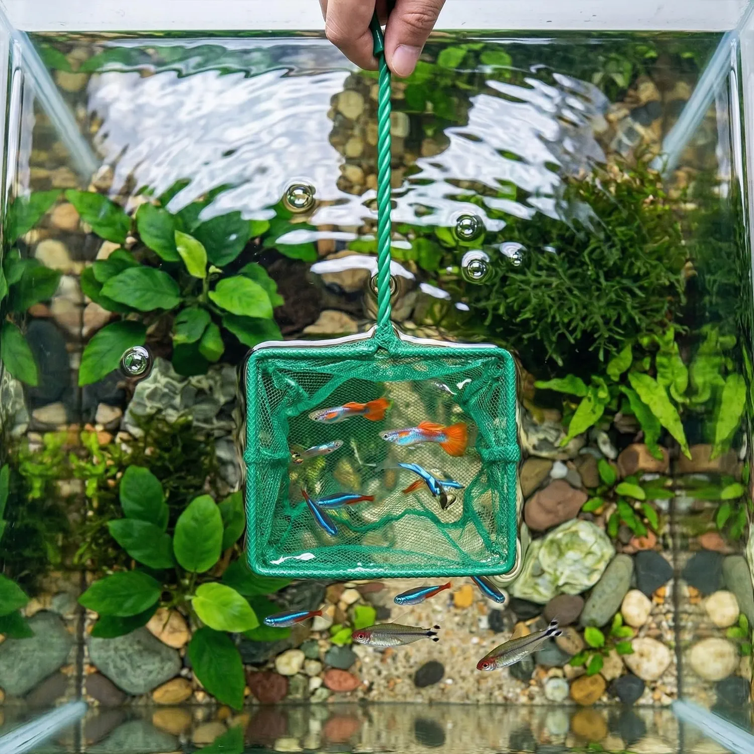 Happet Fischkescher Grün 13 cm Aquariumkescher fein