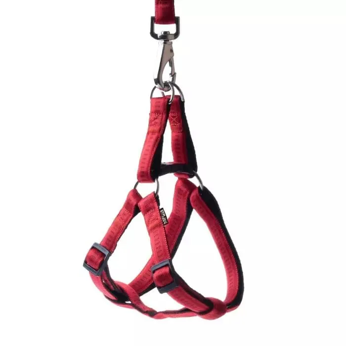 Happet Soft Style Hundegeschirr L 34-59 cm Türkis