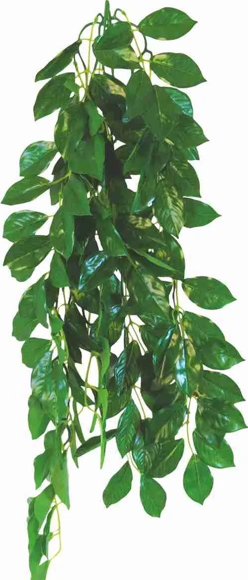 Happet Tradescantia zebrina Hängepflanze 50 cm Terrarium