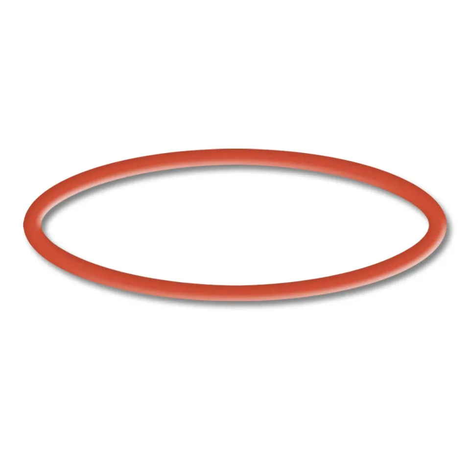 SunSun CPP-10000 Poolpumpe O-Ring 2 Dichtung Ersatzteil