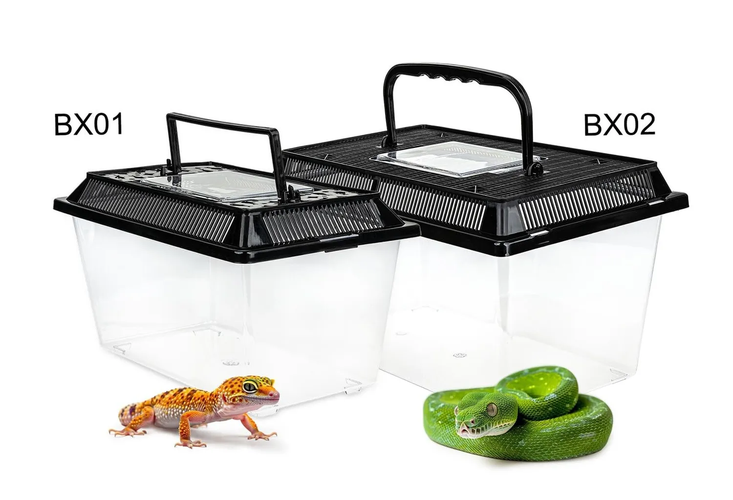 Happet Terra Box Light Zuchtbox 27x17x16 cm transparent