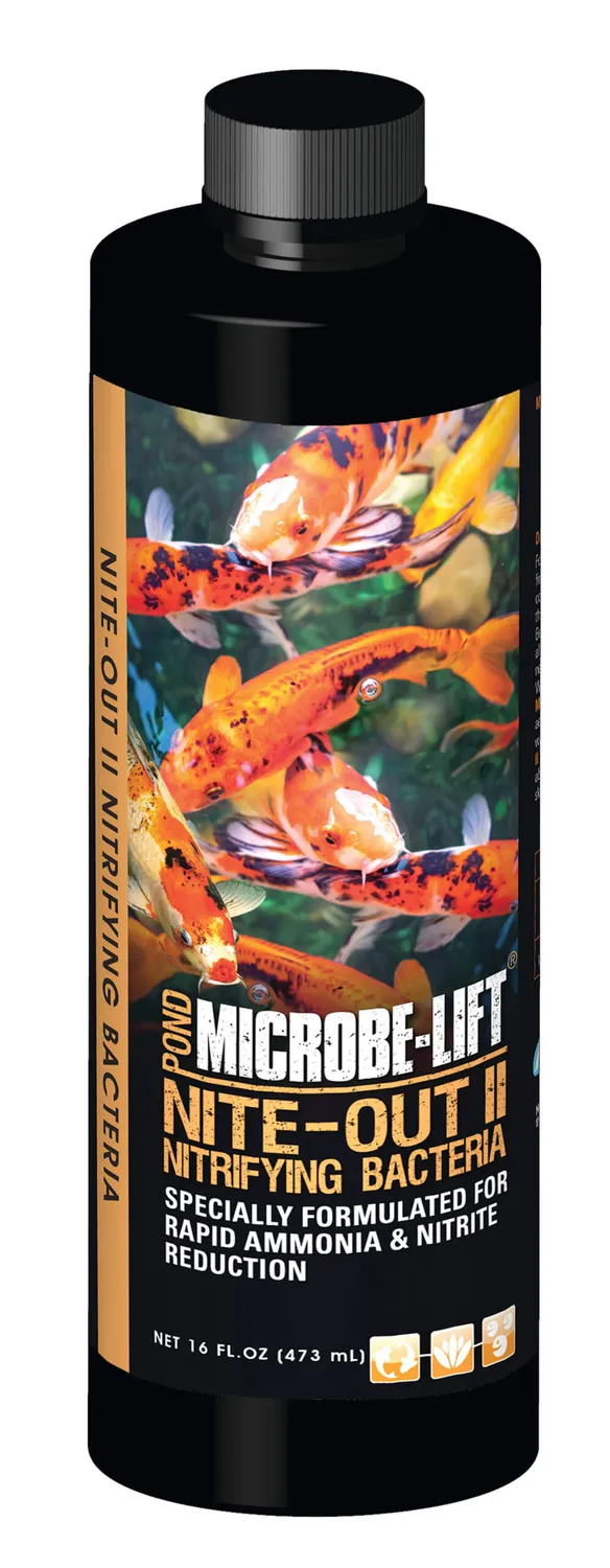Microbe-Lift Nite-Out II Teichbakterien Starter