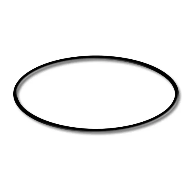 SunSun CPF O-Ring 1 Dichtring für 280/380/500