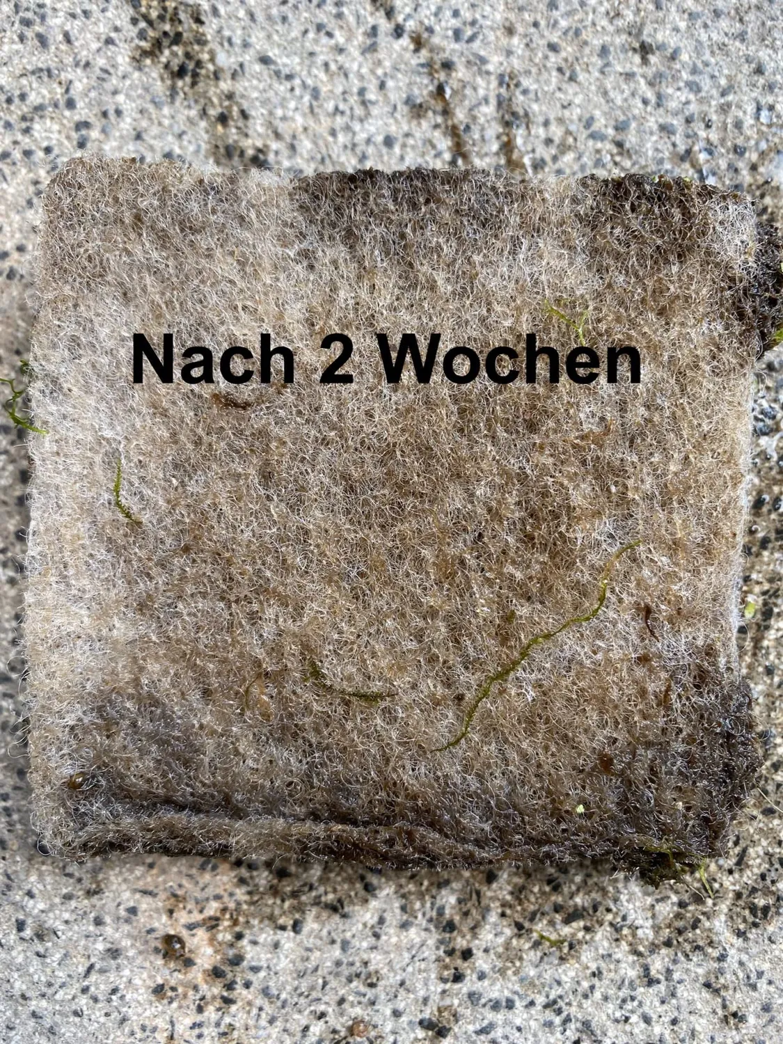 SunSun Synfil 300 Filtervlies 50x50 cm weiß sehr fein