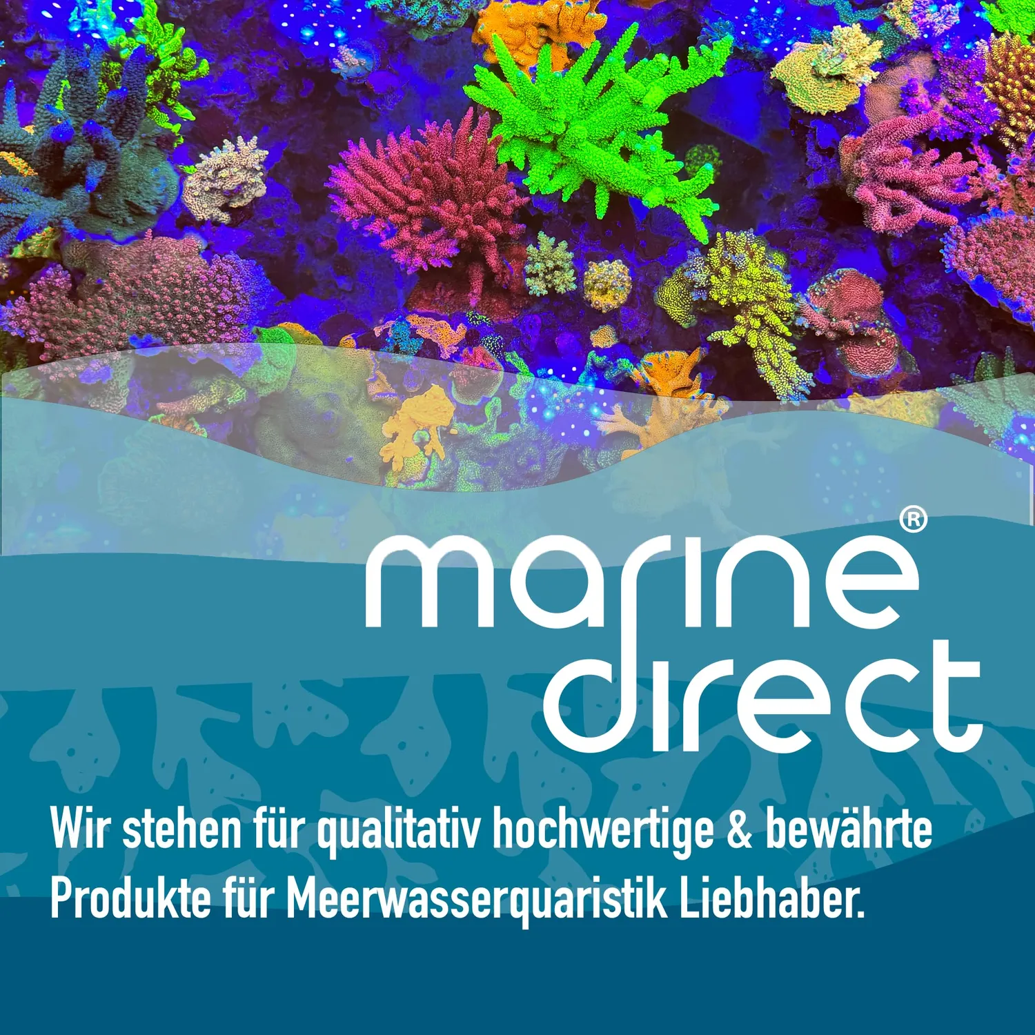 Marine Direct Titanheizstab 100W Aquarium bis 300 l