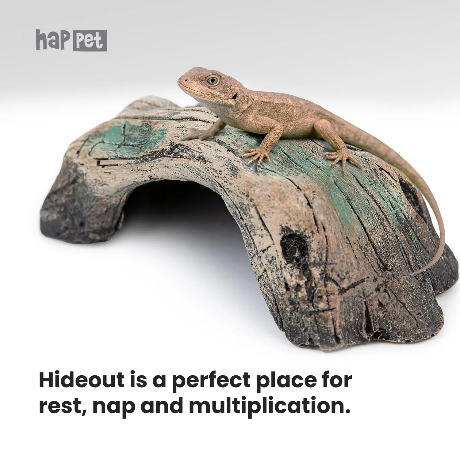 Happet Terrarium-Höhle Versteck Reptilien