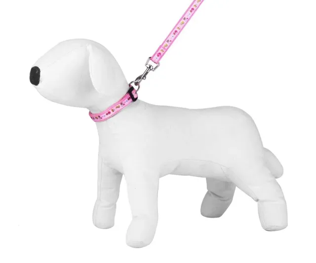 Happet Gassi Set 2 cm Grün Glatt Leine Halsband