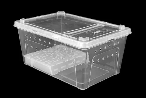Happet Breeding Box Terrarium 27 cm mit Plattform Deckel