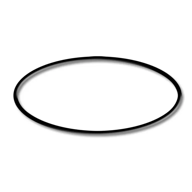 SunSun HZS-550 O-Ring 3 Dichtung Poolpumpe dicht