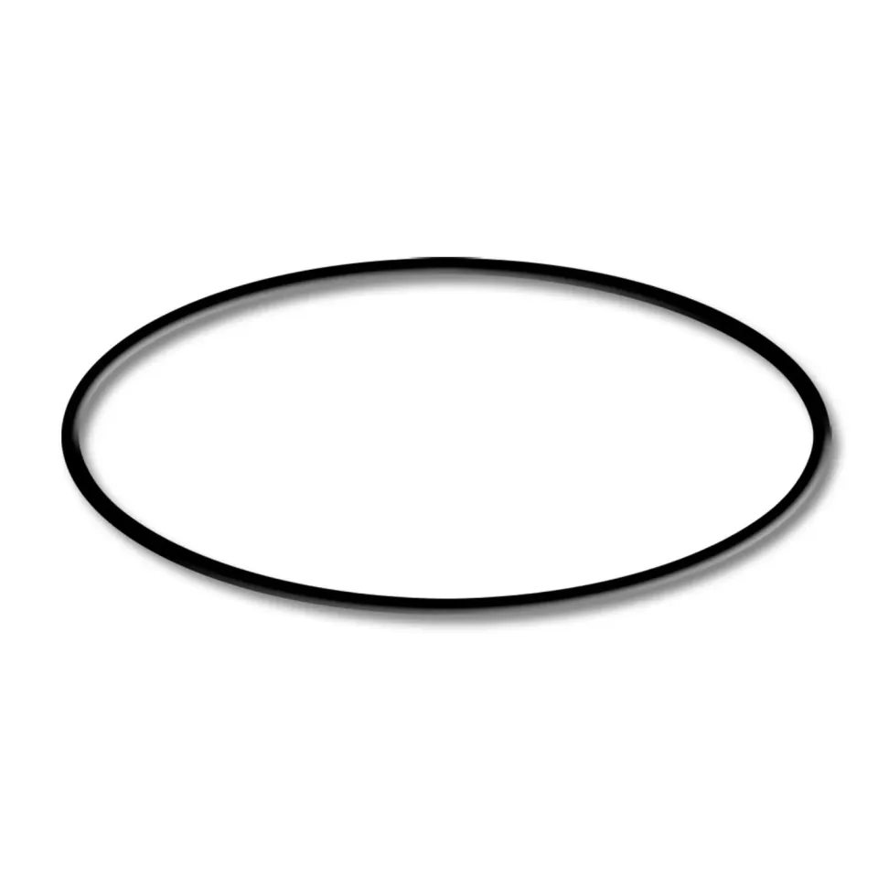 SunSun HZS-550 O-Ring 3 Dichtung Poolpumpe dicht