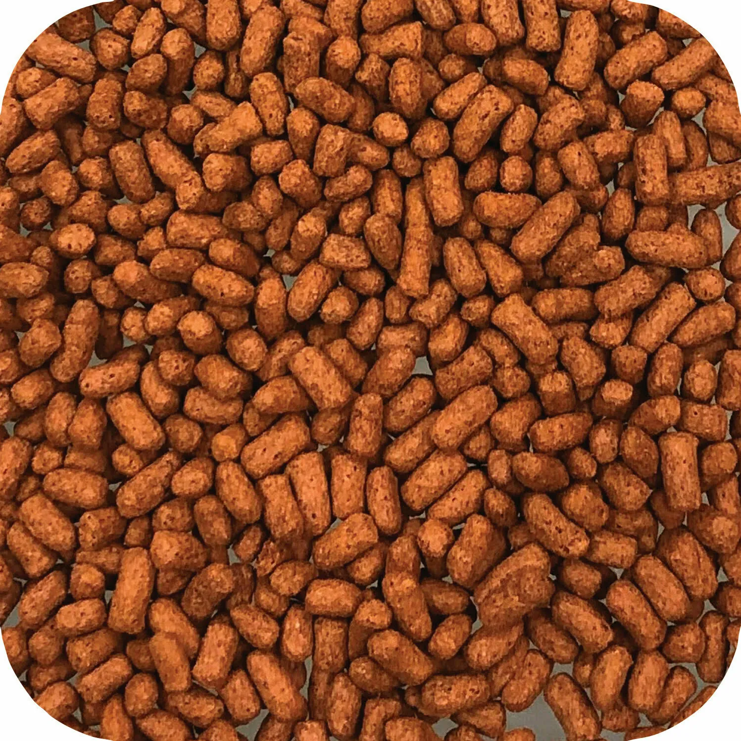 Microbe-Lift Legacy Fruits Greens Sticks Koi Fischfutter