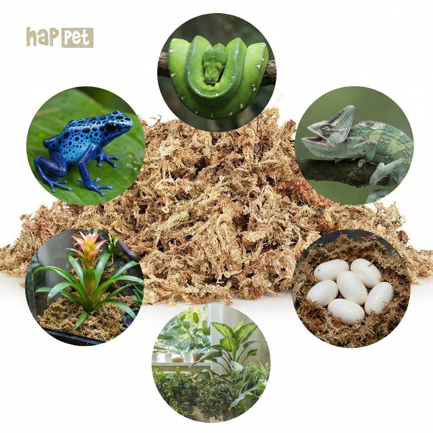 Happet Sphagnum Moos Terrarium Substrat 1 kg feucht
