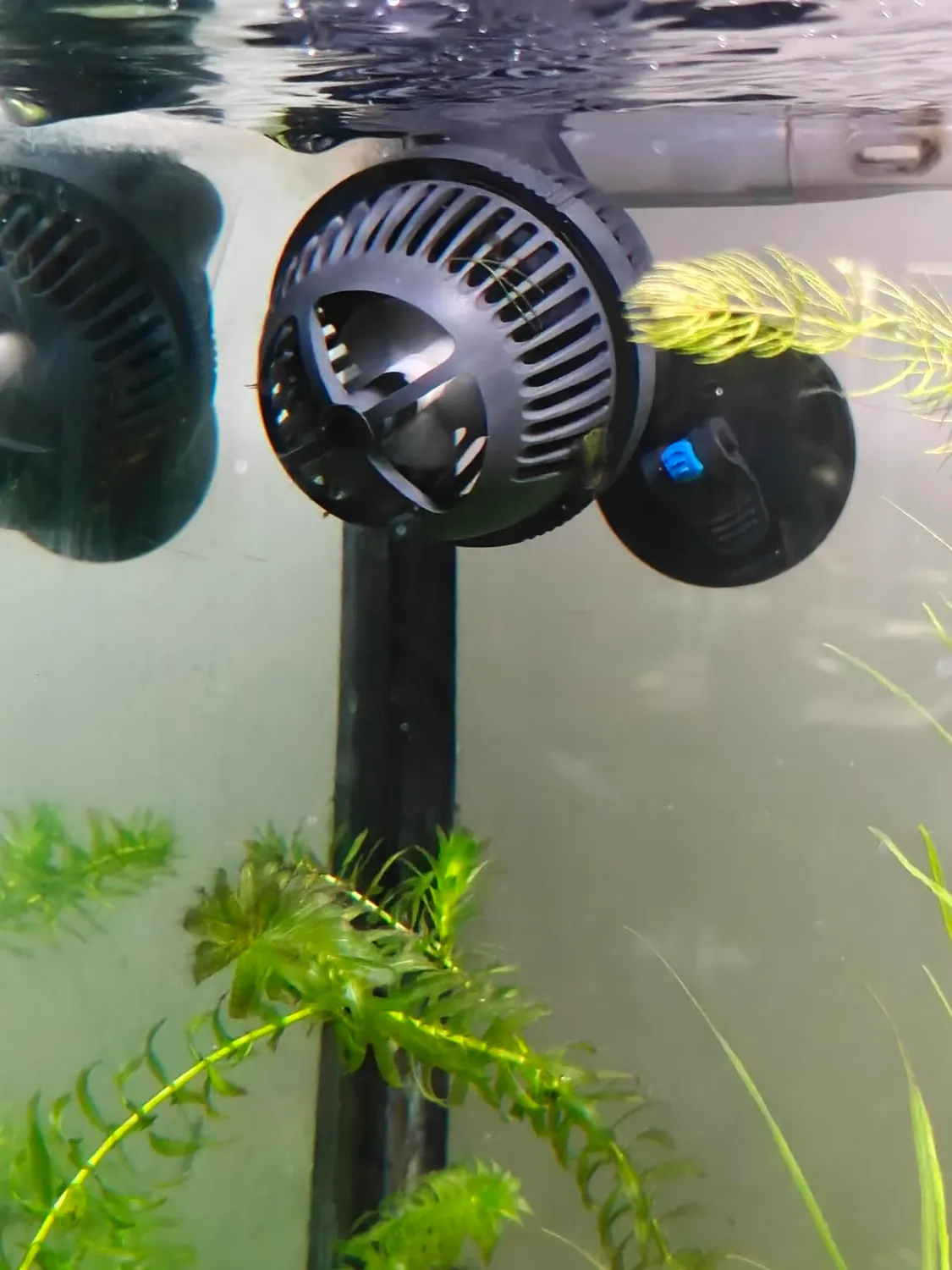 SunSun JVP-110A Strömungspumpe 2000 l/h 3 W Aquarium